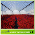 Leon series plastic film greenhouse equipment